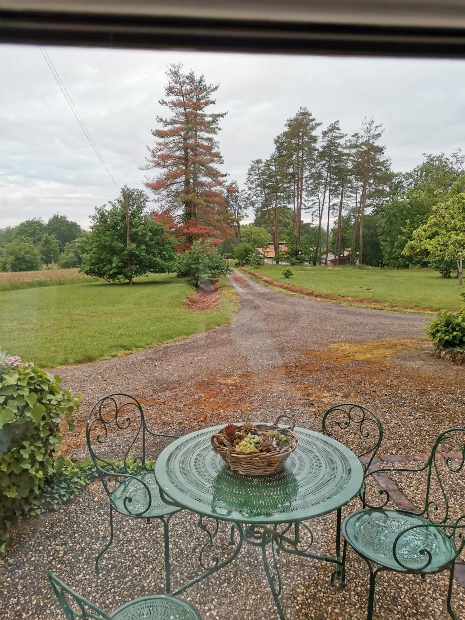 Bed and Breakfast Castel La Bergerie Laglorieuse Exterior foto
