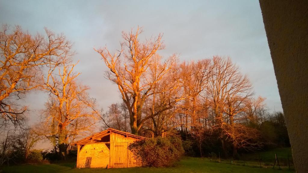 Bed and Breakfast Castel La Bergerie Laglorieuse Exterior foto